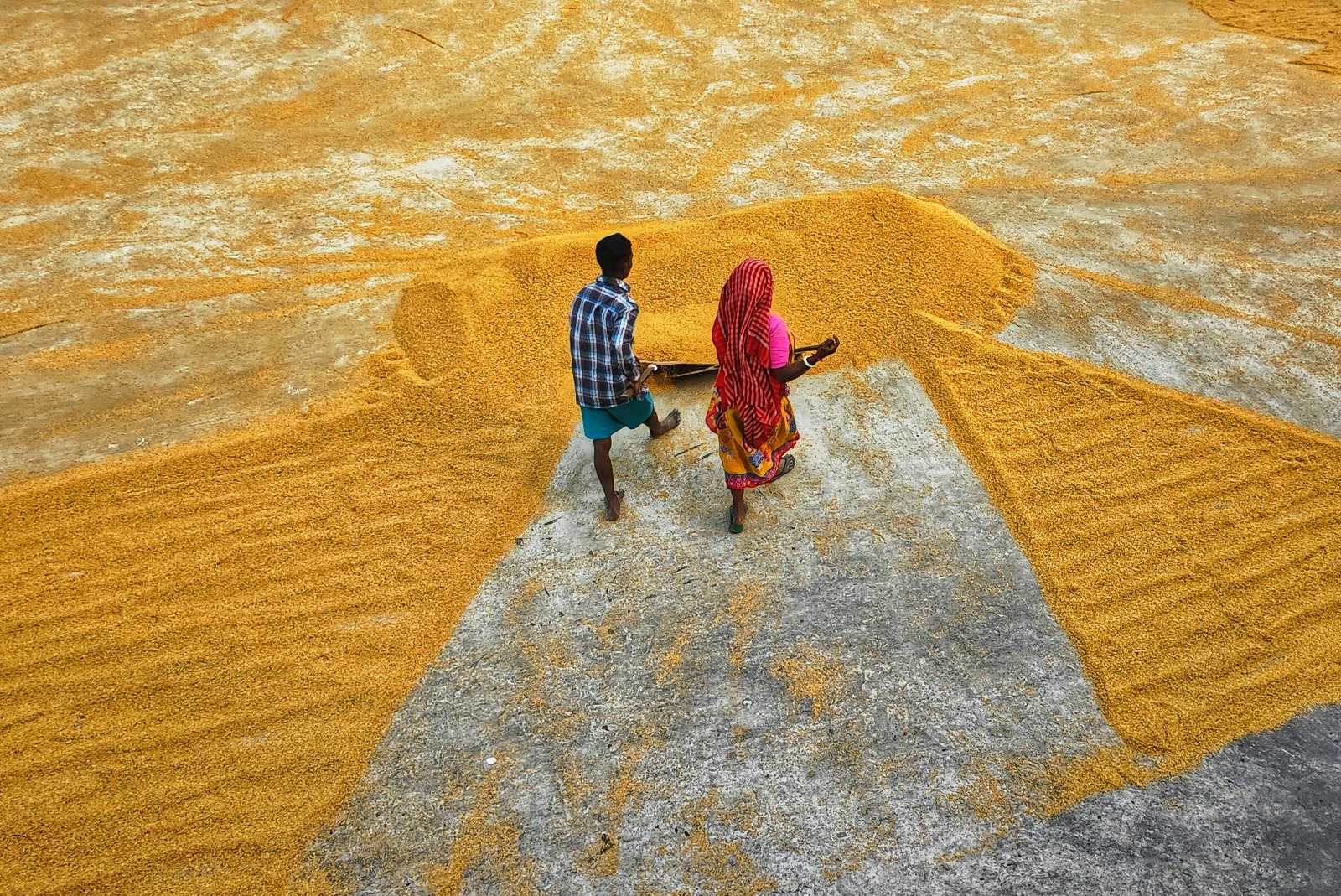 AES Educational Society